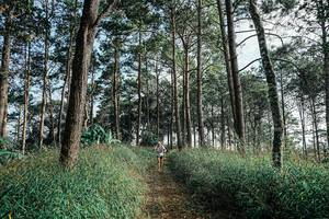 BIB: 
                            <button type="button" onclick="openModal(25657226)" class="btn btn-primary btn-sm float-right btn-popup" data-toggle="modal" data-target=".modal-high-quality">
                        <i class="fas fa-shopping-cart"></i> Add to Cart
                    </button>
                                            <button type="button" onclick="isThisMe(25657226, true)" class="btn btn-success btn-sm float-right btn-popup btn-isme hidden" data-toggle="tooltip" data-placement="bottom" title="นี่คือรูปของคุณใช่ไหม คลิกที่นี่เพื่อเอาเข้าอัลบั้ม">
                        <i class="fas fa-plus"></i> Add to album
                    </button>
                    <button type="button" onclick="isThisMe(25657226, false)" class="btn btn-warning btn-sm float-right btn-popup btn-isnotme hidden">
                        <i class="fas fa-ban"></i> Remove from album
                    </button>